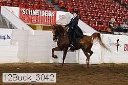 12buck_3042 proof