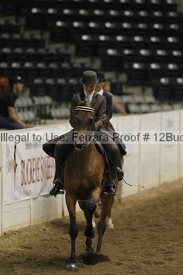 Proof 12buck_3045