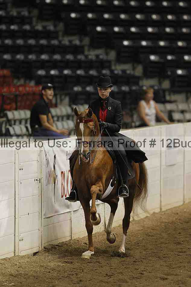 Proof 12buck_3046