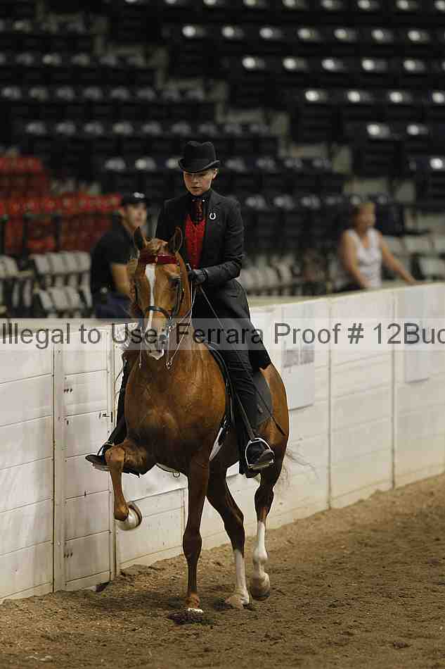 Proof 12buck_3047