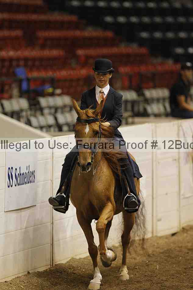 Proof 12buck_3052