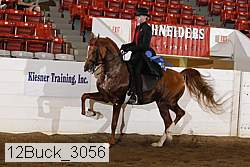12buck_3056 proof