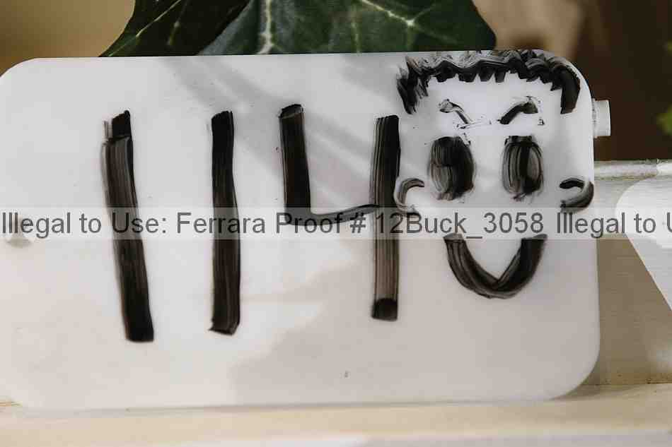 Proof 12buck_3058