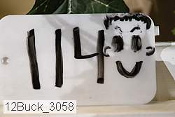 12buck_3058 proof