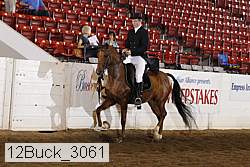 12buck_3061 proof