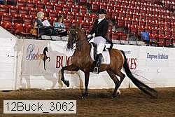 12buck_3062 proof