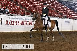 12buck_3063 proof