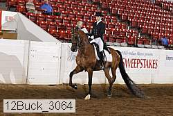 12buck_3064 proof