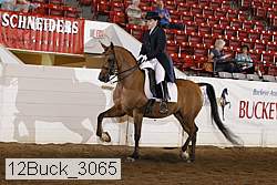12buck_3065 proof