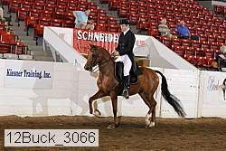 12buck_3066 proof