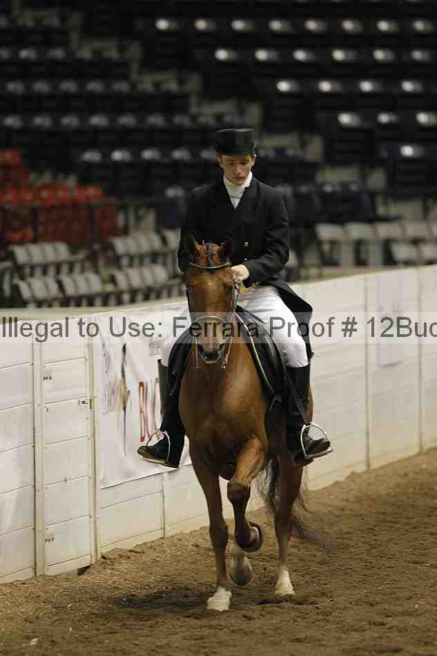 Proof 12buck_3067