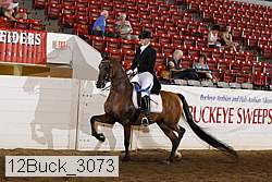 12buck_3073 proof