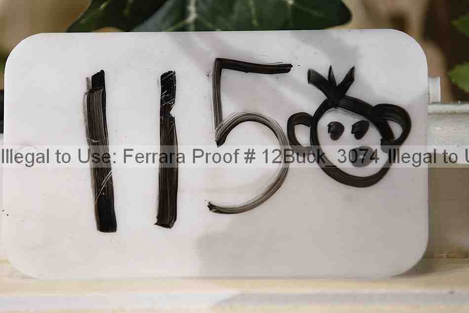 Proof 12buck_3074