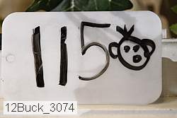 12buck_3074 proof