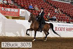 12buck_3075 proof