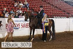12buck_3079 proof