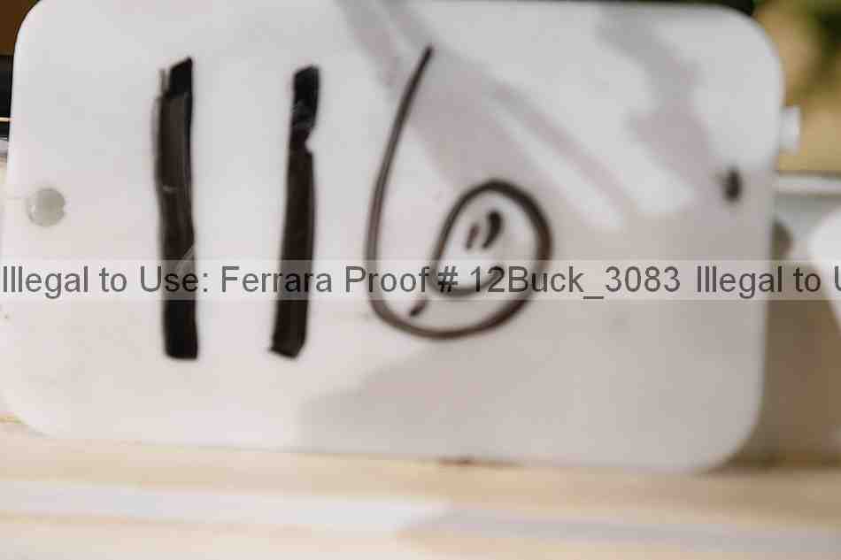 Proof 12buck_3083