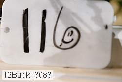 12buck_3083 proof