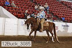 12buck_3085 proof