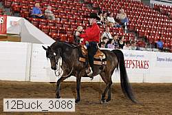 12buck_3086 proof