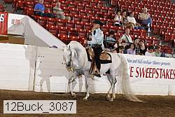 12buck_3087 proof