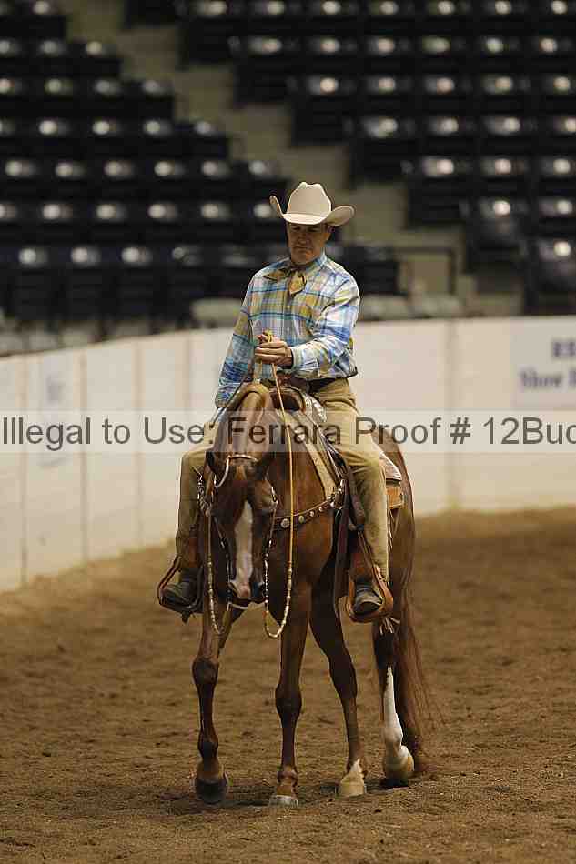 Proof 12buck_3088