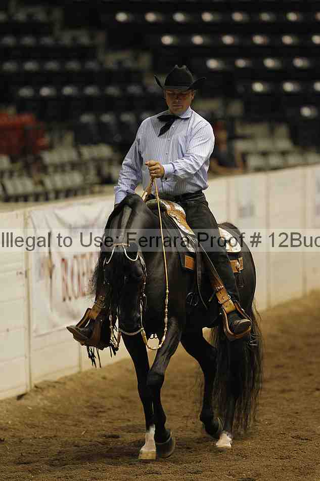 Proof 12buck_3094