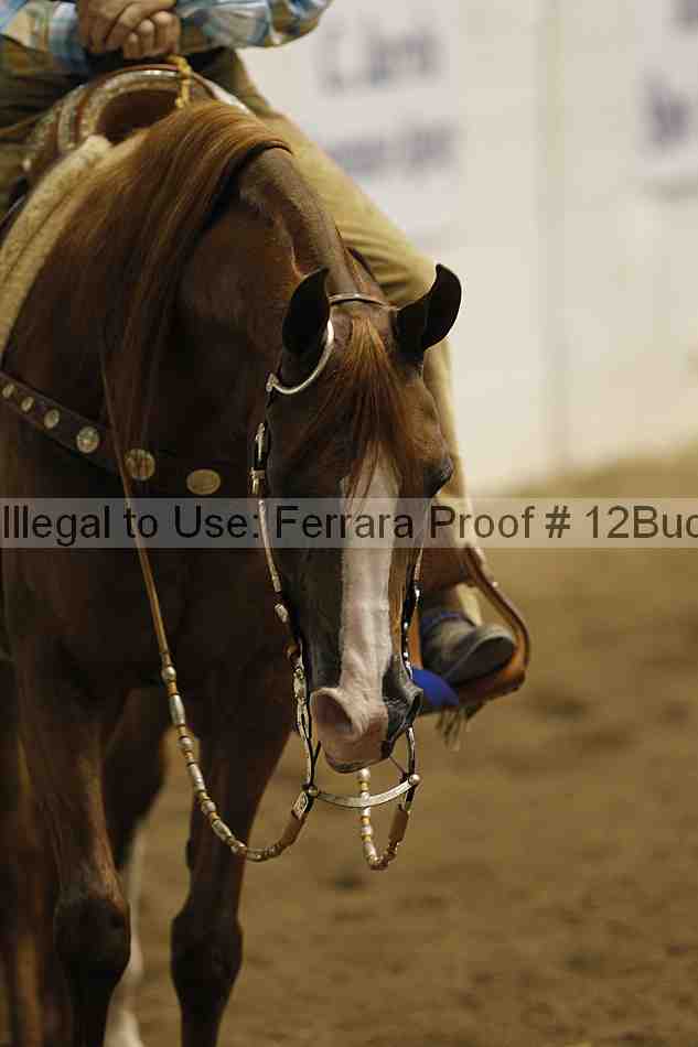 Proof 12buck_3097