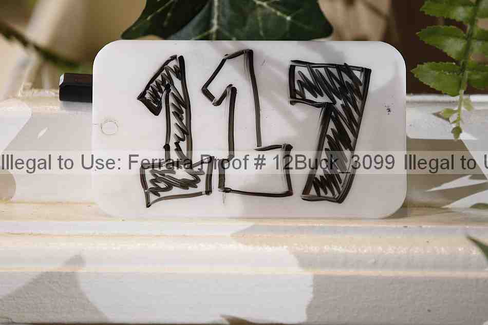 Proof 12buck_3099