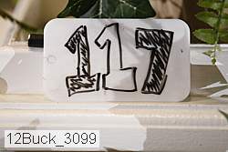 12buck_3099 proof