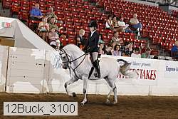 12buck_3100 proof