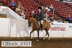 12buck_3101 proof