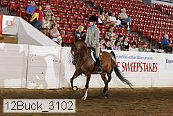 12buck_3102 proof