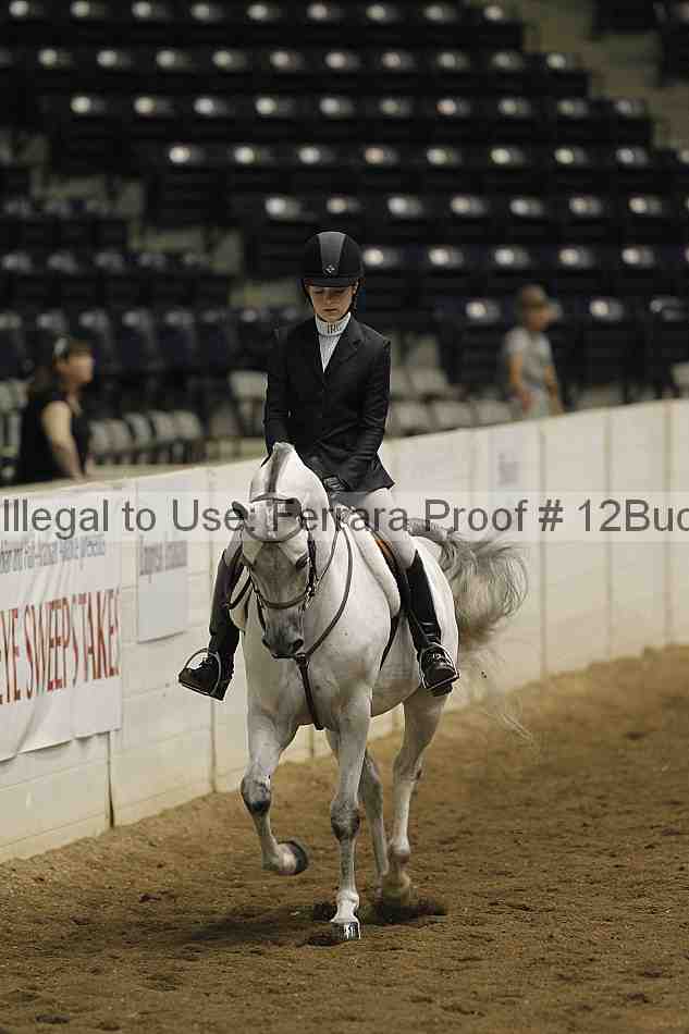 Proof 12buck_3104