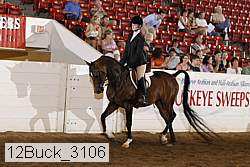 12buck_3106 proof