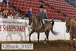 12buck_3107 proof