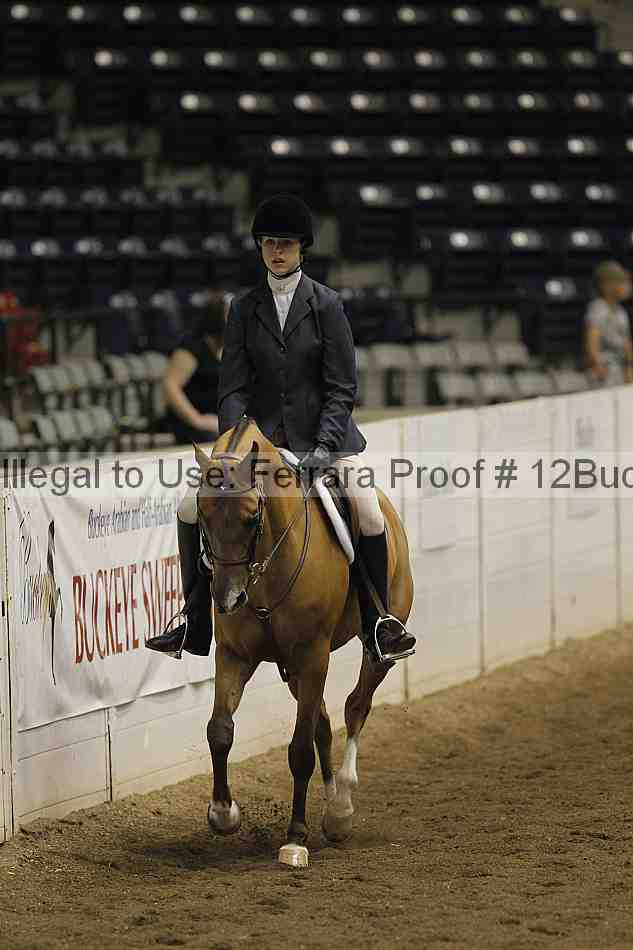 Proof 12buck_3108