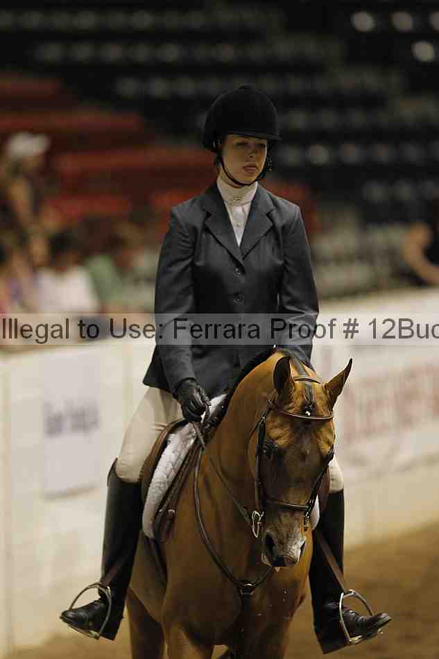 Proof 12buck_3109