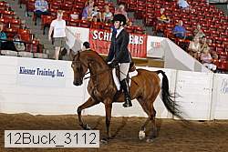 12buck_3112 proof