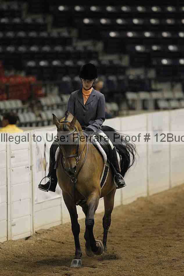 Proof 12buck_3117