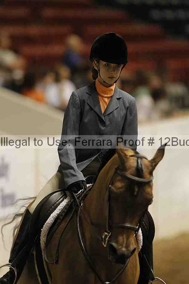 Proof 12buck_3118