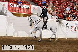 12buck_3120 proof