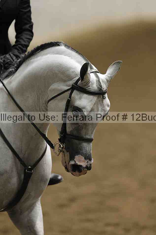Proof 12buck_3128
