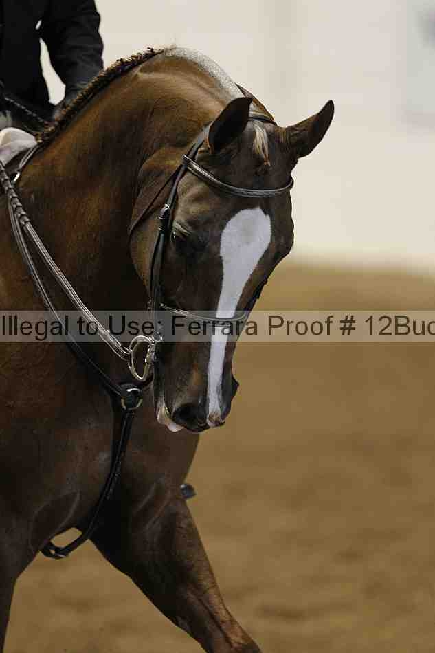 Proof 12buck_3136