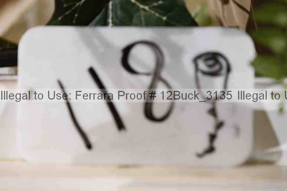 Proof 12buck_3135