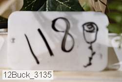 12buck_3135 proof