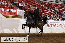 12buck_3137 proof