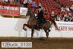 12buck_3138 proof
