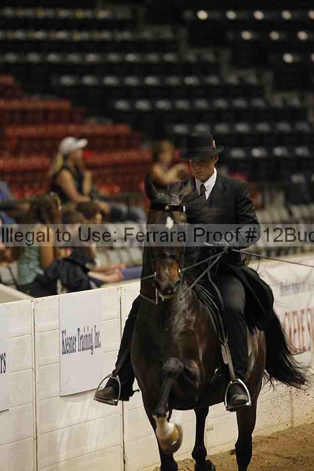 Proof 12buck_3140