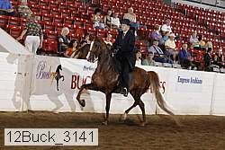 12buck_3141 proof